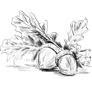 Mega Laboratuvar